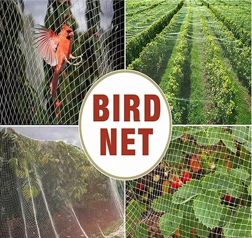 Anti Bird Net