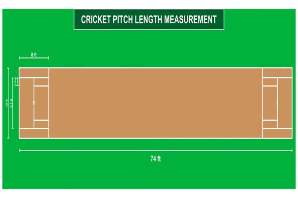 How much space is required for box cricket turf?
